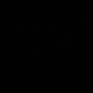 Meet your Posher, Daisy